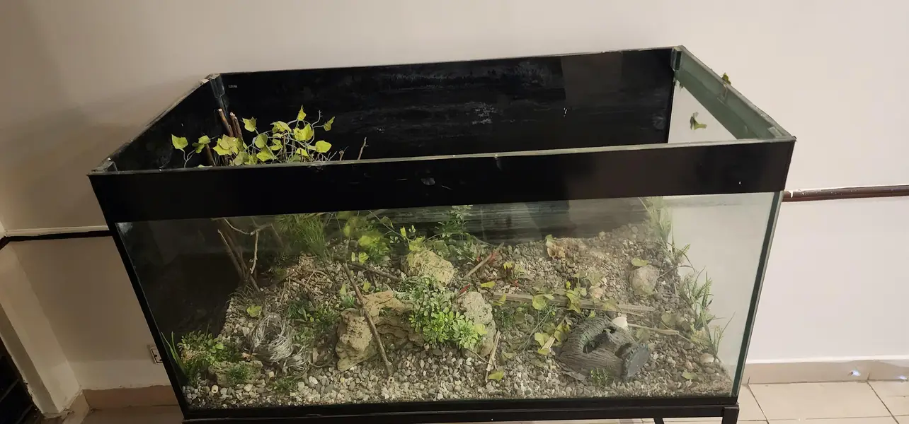 Tempered Glass Aquarium with Stand [ Black Colour ] — photo 3