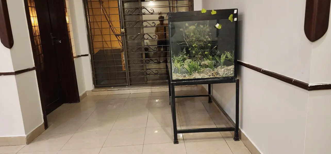 Tempered Glass Aquarium with Stand [ Black Colour ] — photo 4