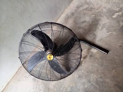 Bracket Fan
