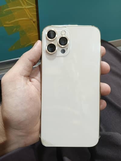 Apple iPhone 12 Pro Max