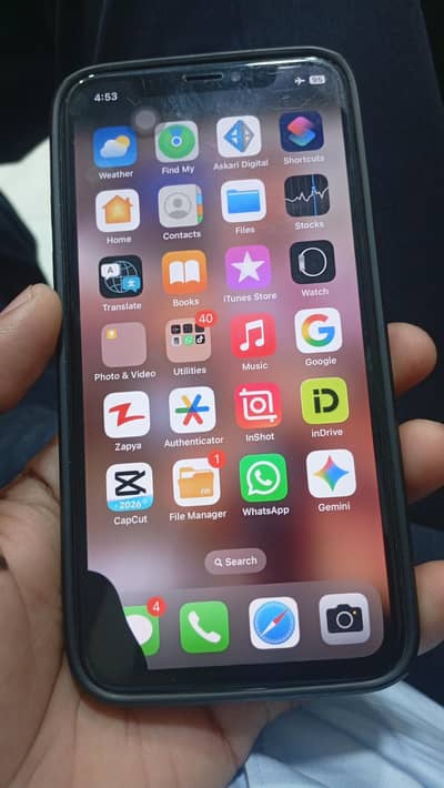 Apple iPhone X
