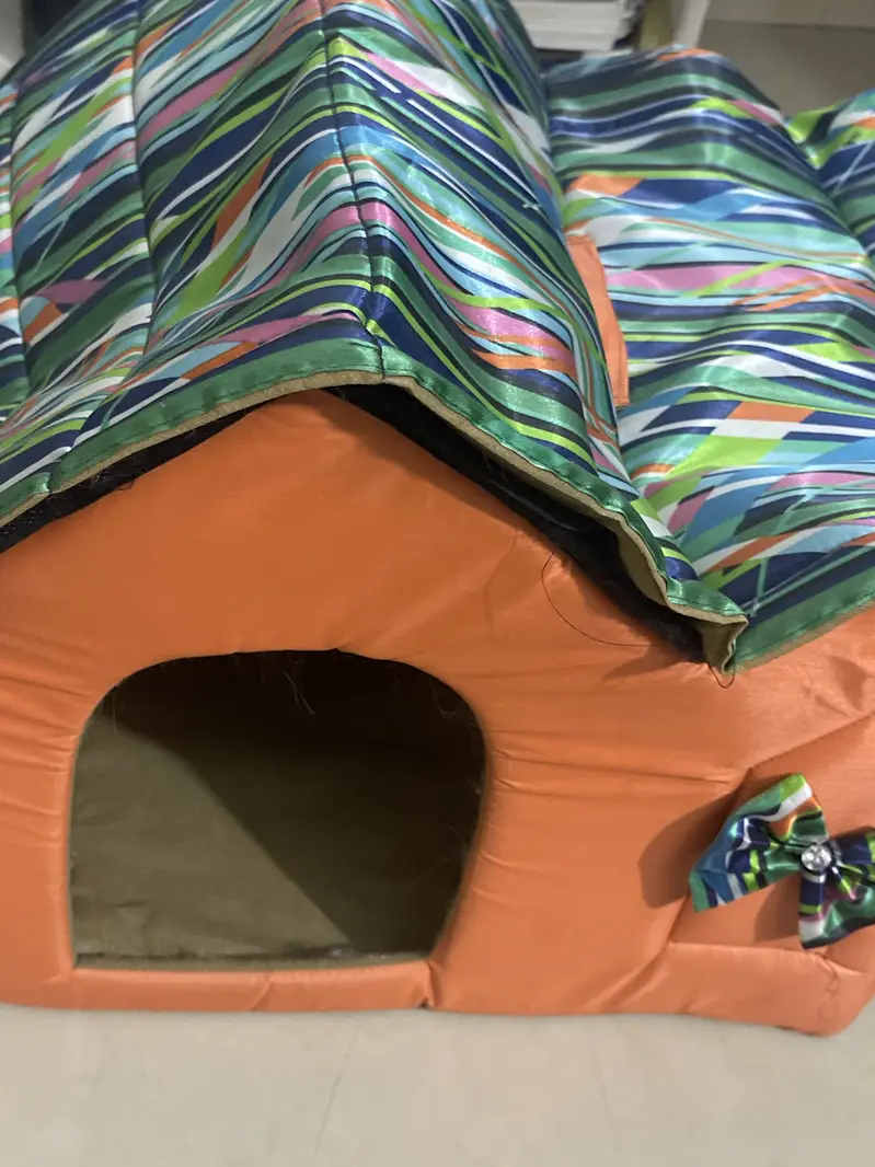 Big Cat house with two bowls to eat and drink — photo 2
