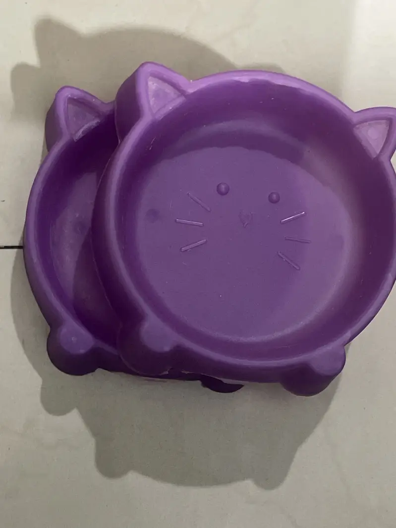 Big Cat house with two bowls to eat and drink — photo 3