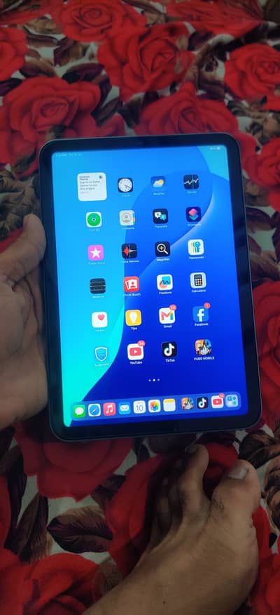 Ipad mini 6