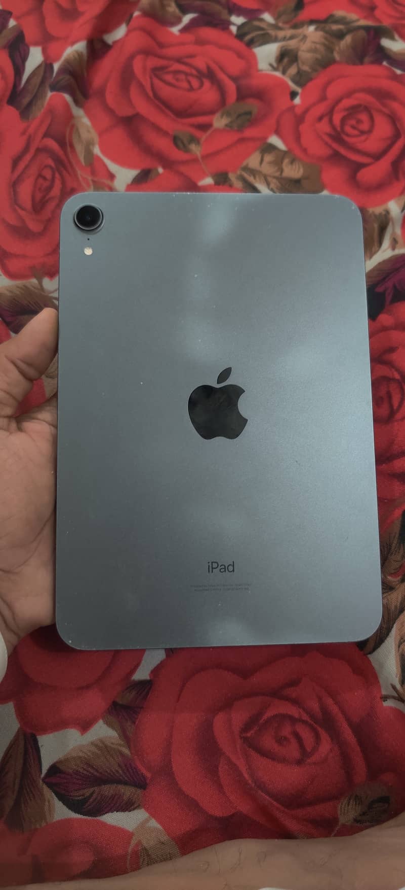 Ipad mini 6 1