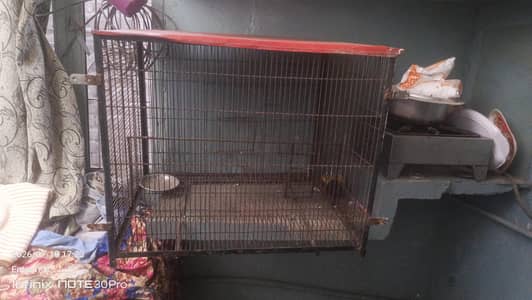 pinjra cage birds others