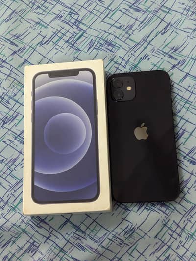 Apple iPhone 12