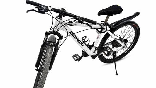 Borgki Mountain bike with 7 rear gears and 3 fornt gears.