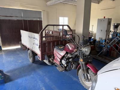 Loader rickshaw 250cc high speed