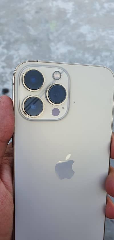 Apple iPhone 13 Pro Max