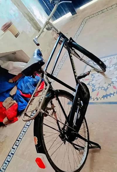 China cycle phoenix for sale WhatsApp number 0349//7613//682