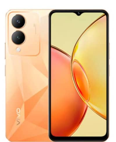 Vivo Y17s