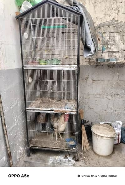 only 3 portion iron cage without bird  size lanth 5 /2 feet