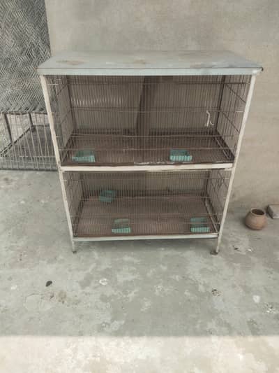 1.5ft /1.5ft cage 4 box