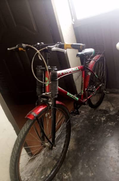 Phoenix cycle for sale