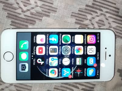 Apple iPhone 5s