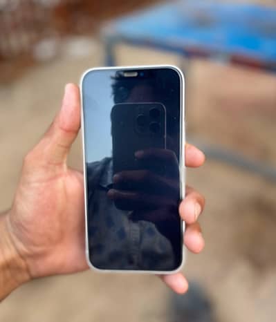 Apple iPhone 12