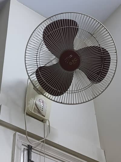 GFS Fan