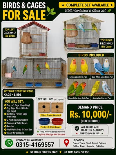 BIRDS AND CAGE FOR SALE