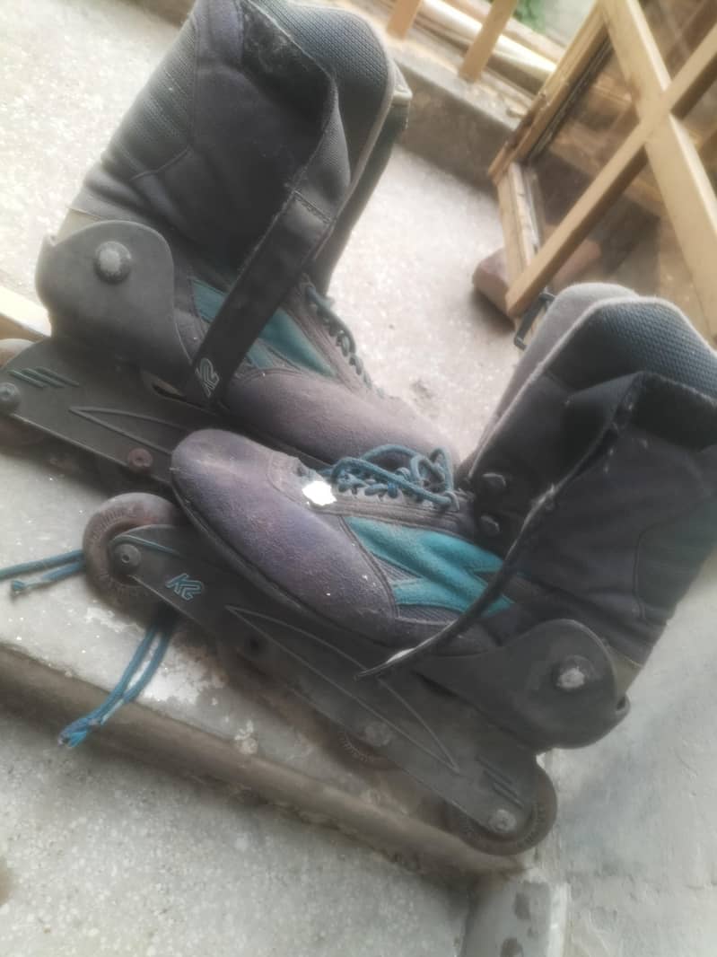 skates 3