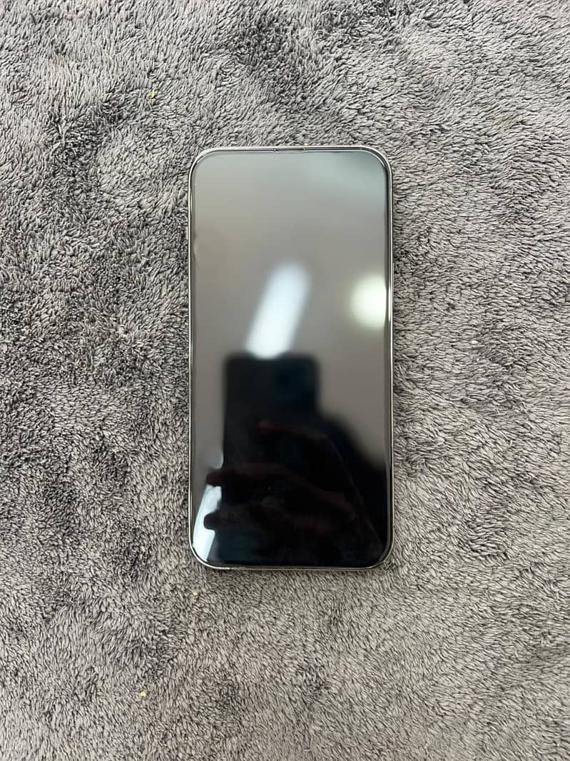 Apple iPhone 13 Pro Max 1