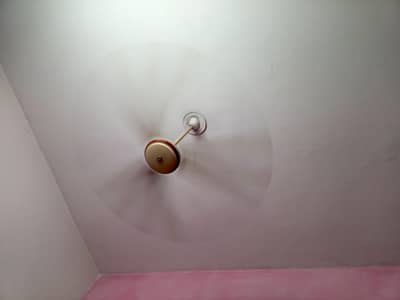 Asia fan