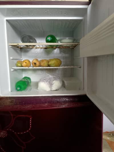 Large size use fridge glass door