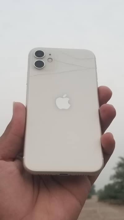 Apple iPhone 11 Lush Condition 128 GB