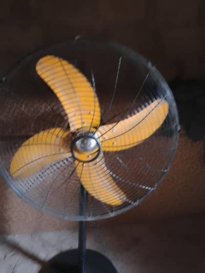 fan for sale