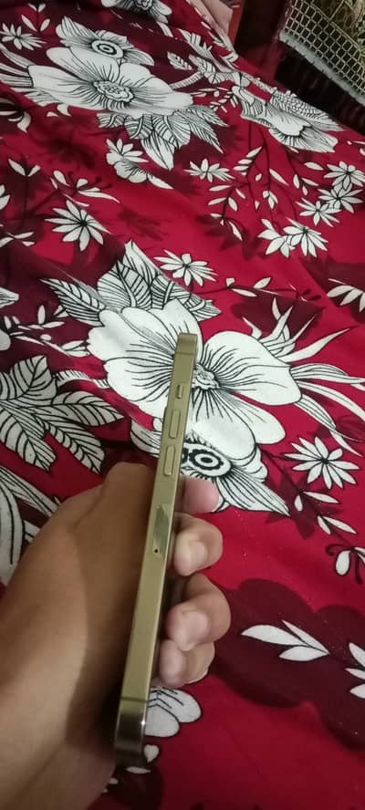 Apple iPhone 13 Pro