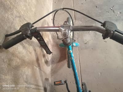 original Japanese 18 inch cycle