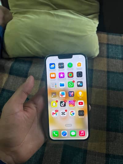 Apple iPhone 13 Pro Max