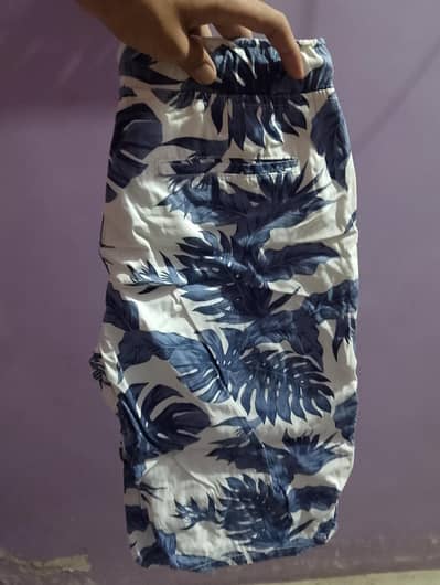 men's summer shorts