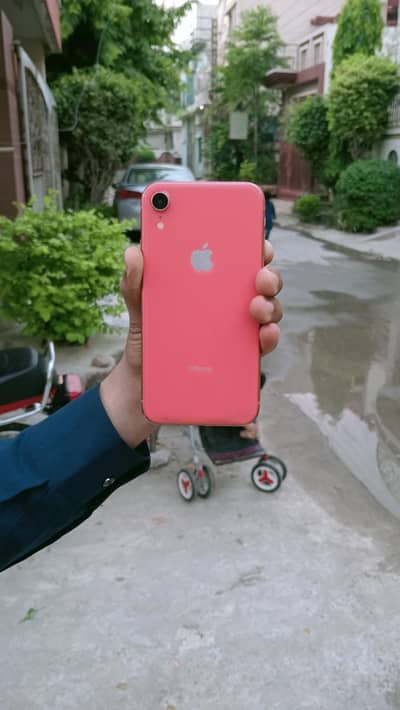 Apple iPhone XR jv 128