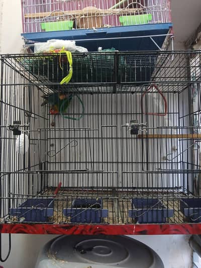 cage for sell