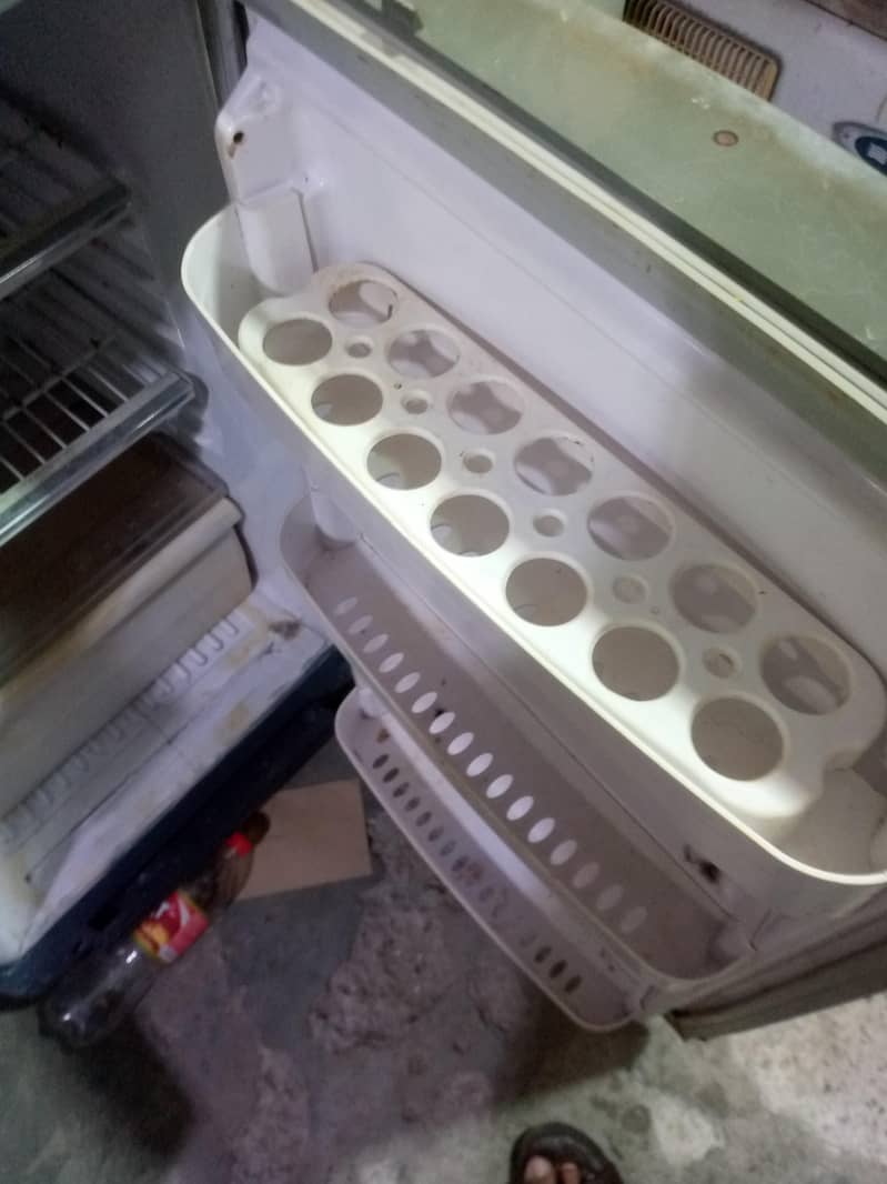 waves medium fridge 1