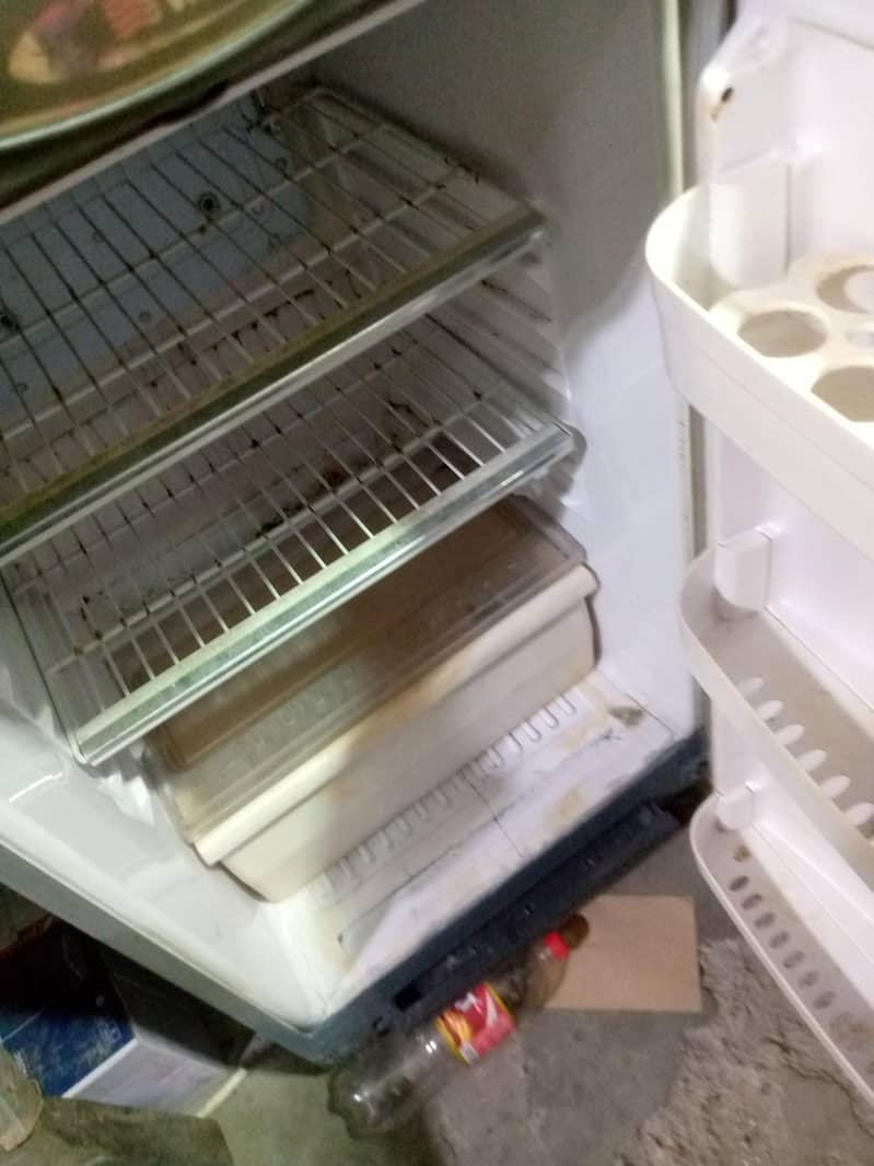 waves medium fridge 2