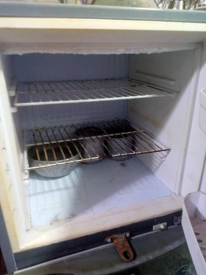 waves medium fridge 3