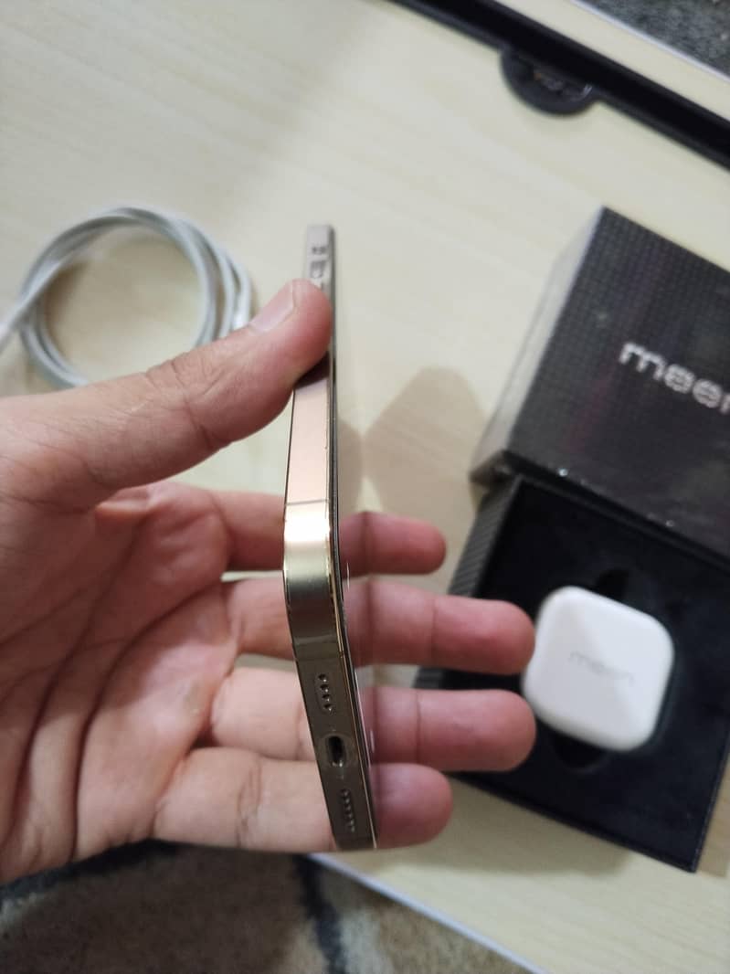 13 Pro Max 3