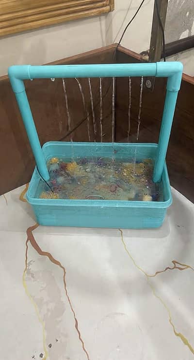 Birds shower