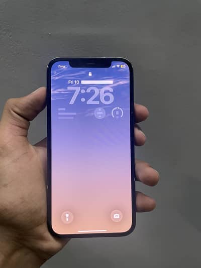 Apple iPhone 12 Pro
