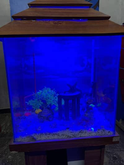 Smart Fish Aquarium