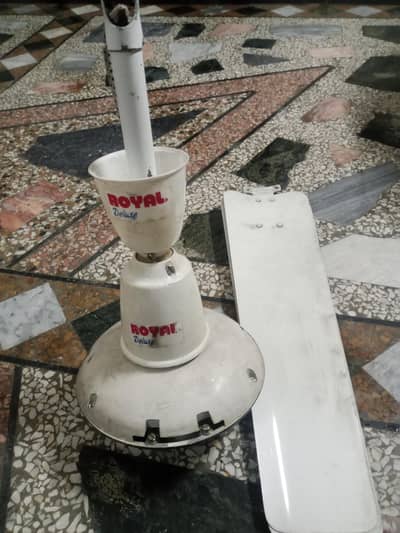 Royal Ceiling Fan56"