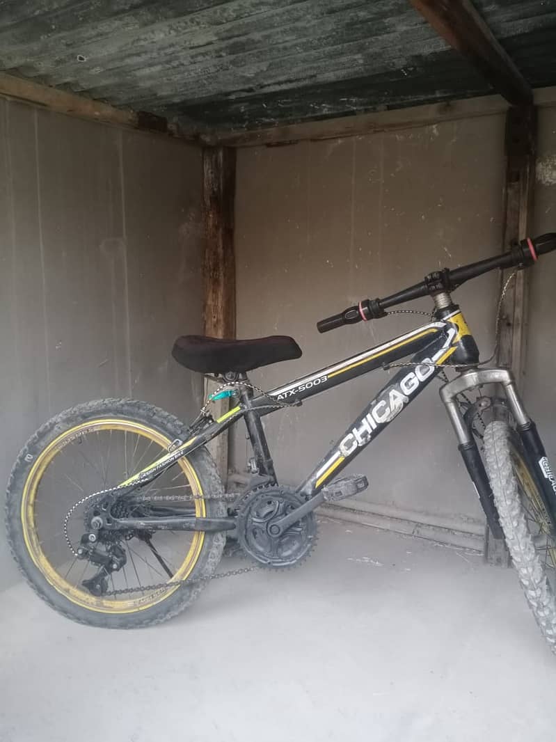 bicycle 1