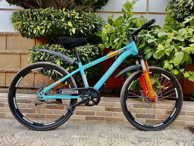STRONG IMPORTED CYCLE - 24 size - 0320/2257/271