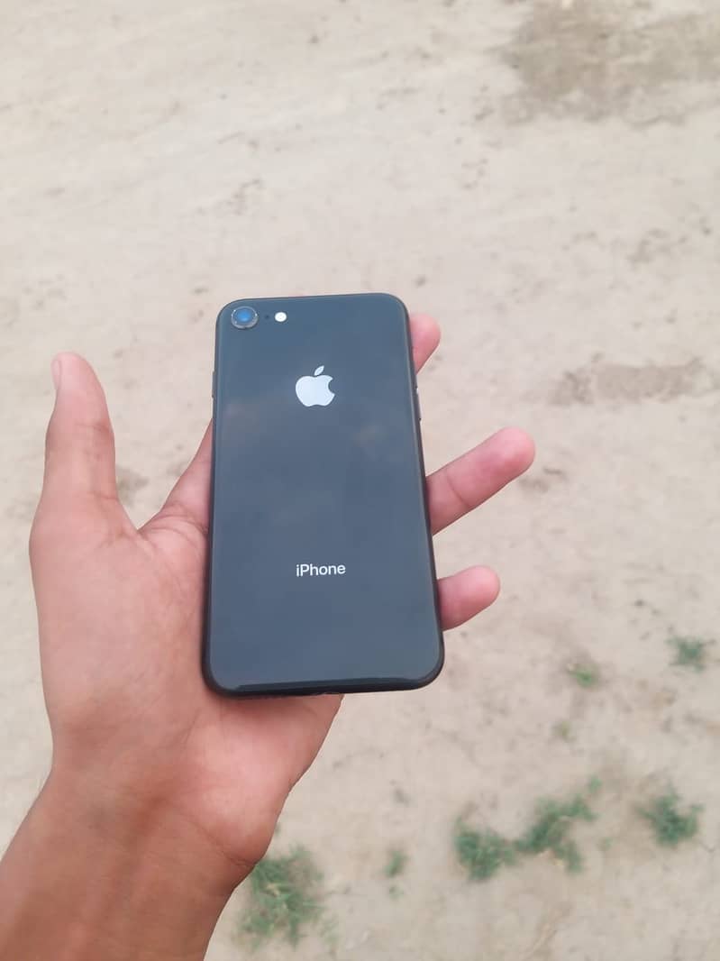 Apple iPhone 8 0