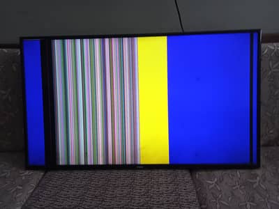 Damaged Hair TV