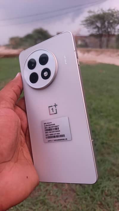 One Plus 13R