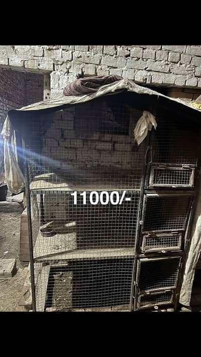 Aseel Cages/Khudda For Sale