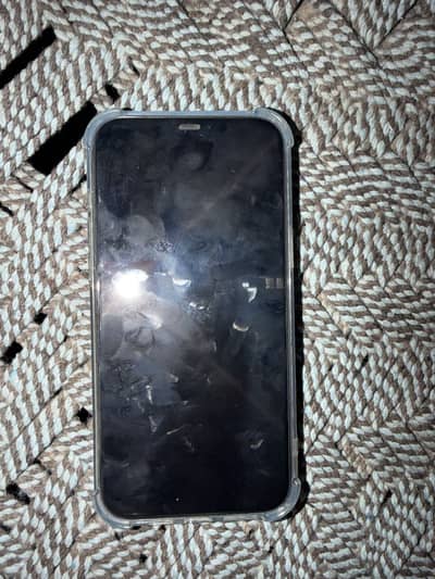 Apple iPhone 12 Pro Max